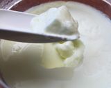 Bifix(脂肪0)でヨーグルト①作り方6写真