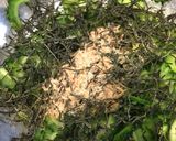 ゴーヤの本当に美味しい食べ方 大量消費作り方7写真