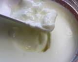 Bifix（脂肪0）でヨーグルト②作り方6写真