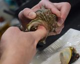 長崎産活サザエのお刺身（よか魚）作り方6写真