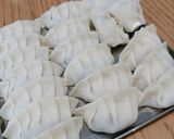 ダイエット！ヘルシー餃子꙳★*ﾟ作り方6写真