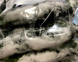 きゅうりの粕漬け作り方3写真
