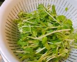 レンチンで簡単★豚肉の豆苗巻き作り方1写真
