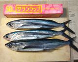 初夏の味。トビウオの一夜干し作り方1写真