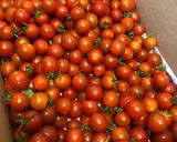 完熟トマトorミニトマトでトマトペースト作り方5写真
