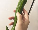 レンジで簡単！万願寺とうがらしのおひたし作り方1写真