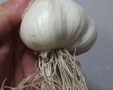 生ニンニクを手軽においしく作り方1写真