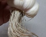 生ニンニクの根で激烈スタミナ納豆作り方1写真