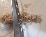 生ニンニクの根で激烈スタミナ納豆作り方5写真