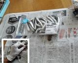 なるべく汚さずに、小イワシ刺身をさばく作り方1写真