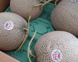 アイスクリームメーカーdeメロンのアイス作り方1写真