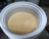 アイスクリームメーカーdeメロンのアイス作り方5写真