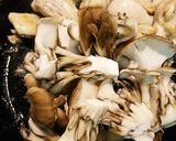 鶏ももと舞茸のレモン炒め作り方2写真