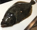 平目の昆布じめ作り方1写真