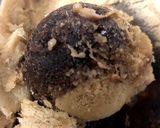 生クリ不要♡シャーベット風コーヒーアイス作り方7写真
