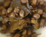 山椒の佃煮作り方5写真