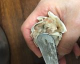 化学調味料無しのヘルシー旨焼売　おかず作り方10写真