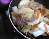 豚肉と白菜と人参のピリ辛炒め作り方3写真