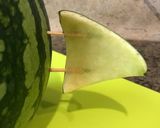 スイカさめ 切り方作り方6写真