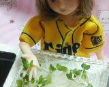 リカちゃんサイズ♡野球シリꕤ納豆サラダ*作り方4写真