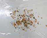 テクニック：簡単おにぎり作り方1写真