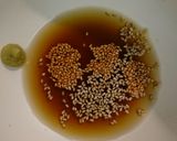 豚バラとキノコのワサビポン酢作り方5写真