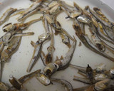 胡瓜のだし漬け作り方1写真