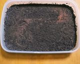 材料使いきりティラミス作り方11写真