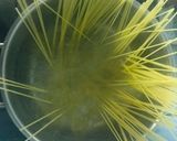 夏野菜たっぷり！トマトパスタ♪。.:＊作り方4写真
