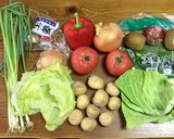 雑な男料理：野菜たっぷりカレー！！作り方1写真