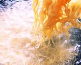 フライドオニオン塩ラーメン作り方4写真