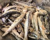 唐揚げ粉で簡単！小いわしの唐揚げ作り方5写真