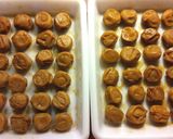 減塩白梅干し（塩分８％）の作り方　作り方16写真