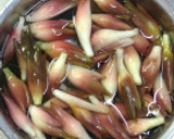 万能みょうが【冷凍可】　作り方1写真