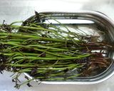 赤紫蘇の茎茶☆茎の有効活用☆作り方1写真
