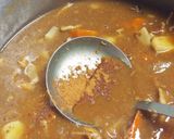 ひる貝とホタテの貝柱入りカレー作り方23写真