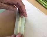 アスパラの春巻き作り方3写真