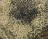 まるで高級サロン！クレープシュゼット作り方3写真