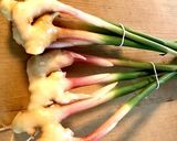 【夏バテ防止】葉生姜の肉巻きフライ作り方1写真