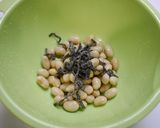 簡単！筋量アップ☆大豆塩昆布の出汁巻き卵作り方1写真
