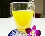 材料２つ！美味しいグレープフルーツ炭酸割作り方3写真