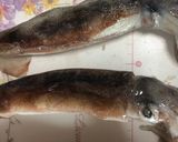 家庭で作る料亭の味塩辛作り方1写真