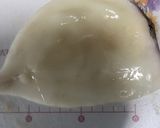 家庭で作る料亭の味塩辛作り方3写真