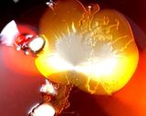 圧力鍋で手羽元とうずらのさっぱり煮込み♪作り方3写真