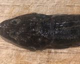 マゴチ唐揚げ、刺身作り方3写真