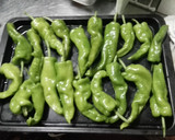 シシトウのマヨがけ作り方1写真