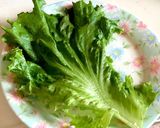 お弁当に♪上手に飾り♪隙間埋めレタス♡作り方1写真