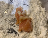 【肩肉使った】とりの唐揚げ【小ぶりだよ】作り方3写真
