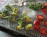 フードドライヤーで夏のストック素材作り方1写真