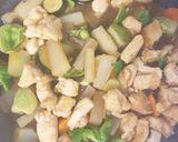 根菜胸肉の砂糖を使わない照り焼き作り方18写真